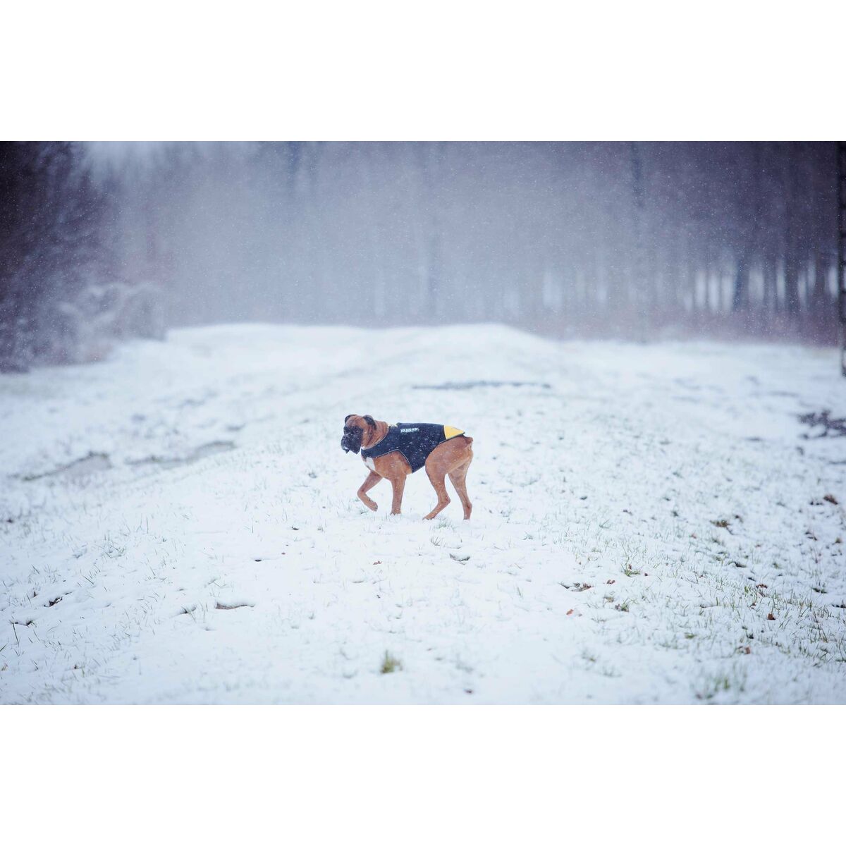 Hundsele Julius K9 IDC L/XL 2
